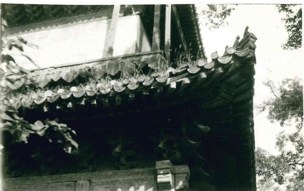 Miniature of Rulai Hall (Rulaidian, Tathagatha Hall or Shakyamuni Hall), eaves